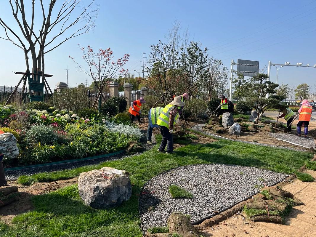 園林綠化工程施工現(xiàn)場實(shí)拍 匠心營造綠色家園