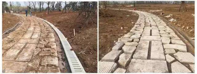 園林綠化施工全流程深度解析 從藍圖到綠洲的實戰指南