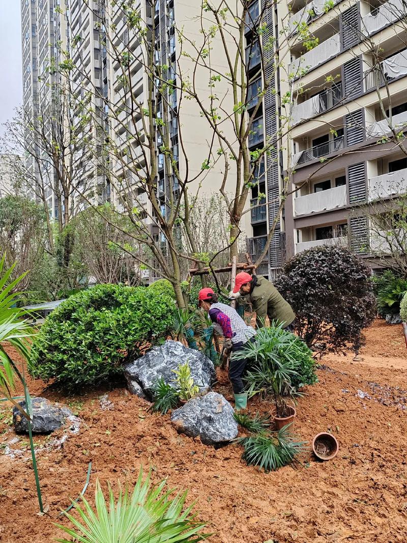 園林綠化工程 從設計到施工，打造宜居小區(qū)景觀